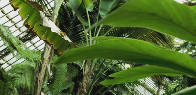 Welcome to Our Store